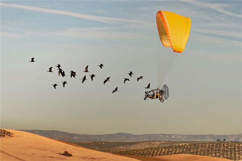 Wissenschaftler begleiten Waldrappen bei ihrem Zug nach Spanien.Gunnar Hartmann/Nature/dpa