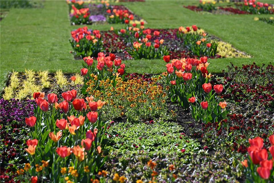 Wo Rennpferde einst ihre Runden gedreht haben, ist ein Stadtpark entstanden. Volker Danisch, dpa