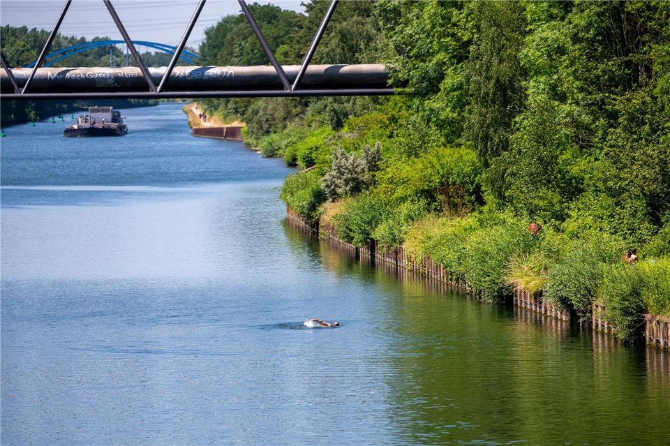 Wo Schiffe fahren, verzichtet man lieber aufs Schwimmen. picture alliance/dpa