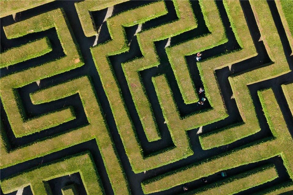 Wo ist bloß der Ausgang aus dem Irrgarten?Sebastian Kahnert/dpa
