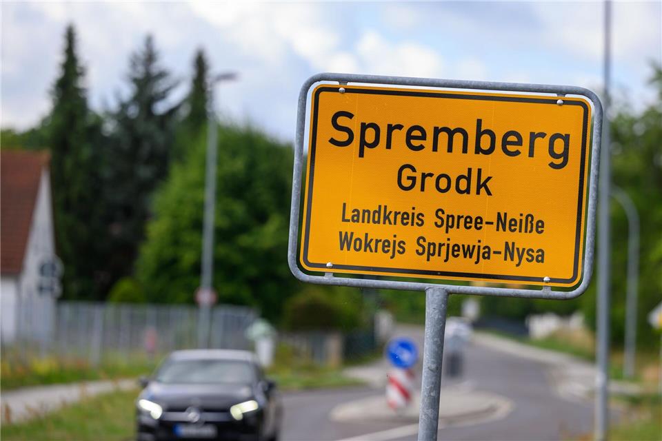 Wölfe haben in Spremberg in der Lausitz gelernt, dass sie in der Stadt leicht an Futter kommen. (Symbolbild)Patrick Pleul/dpa