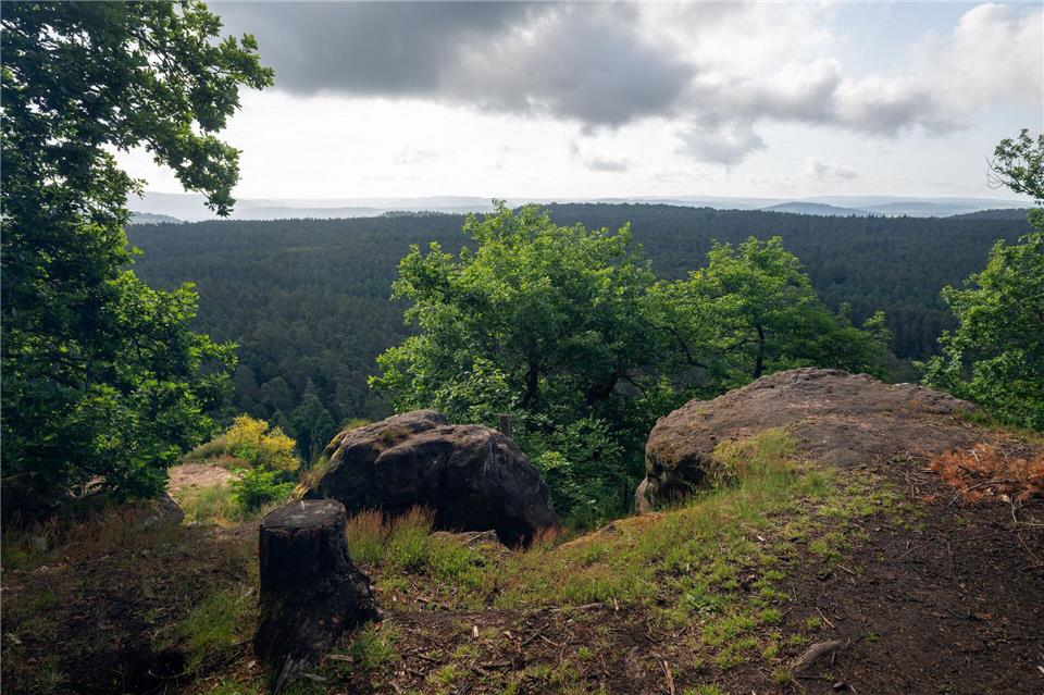 Wolken bedecken in Rheinland-Pfalz und im Saarland den Himmel. (Symbolbild)Harald Tittel/dpa