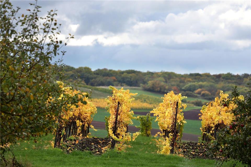 Wetterwechsel zur neuen Woche – Regen, Wolken und Wind Wolken trüben den goldenen Herbst in Bayern in den kommenden Tagen.Karl-Josef Hildenbrand/dpa