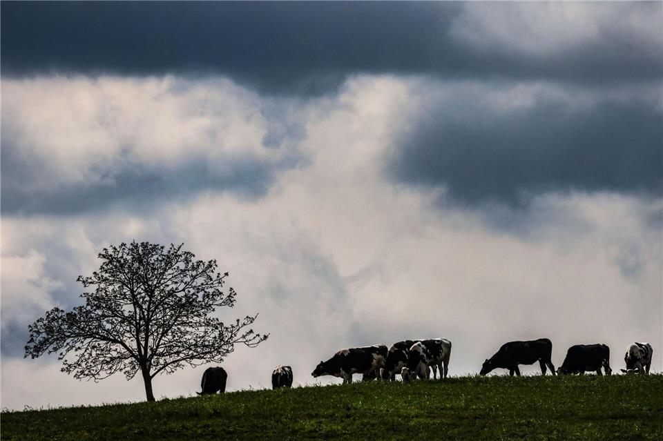 Wolken verdüstern den Himmel. (Archivbild)Oliver Berg/dpa