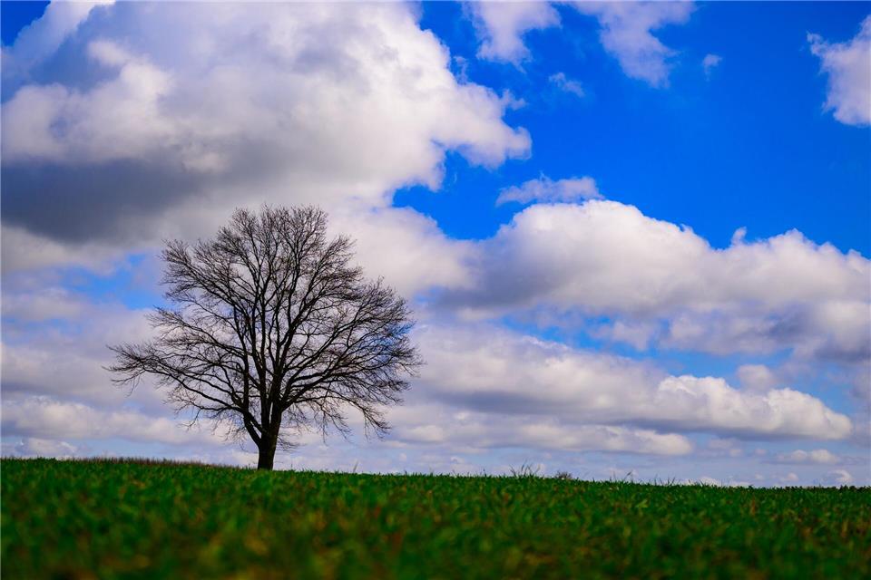Wolken ziehen über Brandenburg auf und verdecken den blauen Himmel. (Symbolbild)Patrick Pleul/dpa