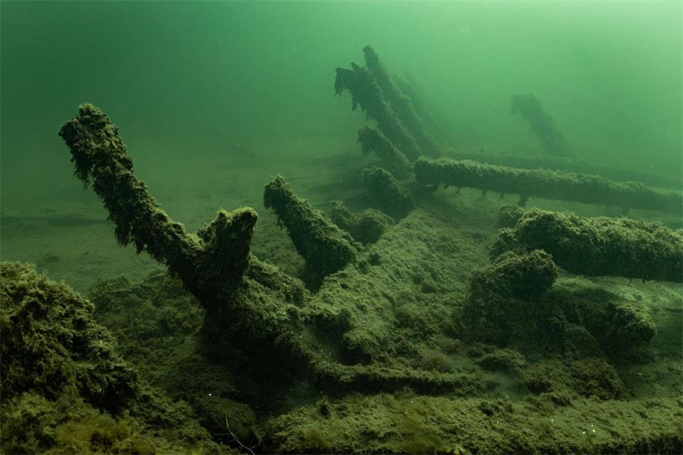 Wrack des 1495 gesunkenen Kriegsschiffs „Gribshunden“ in Südschweden.Florian Huber/submaris.com/dpa