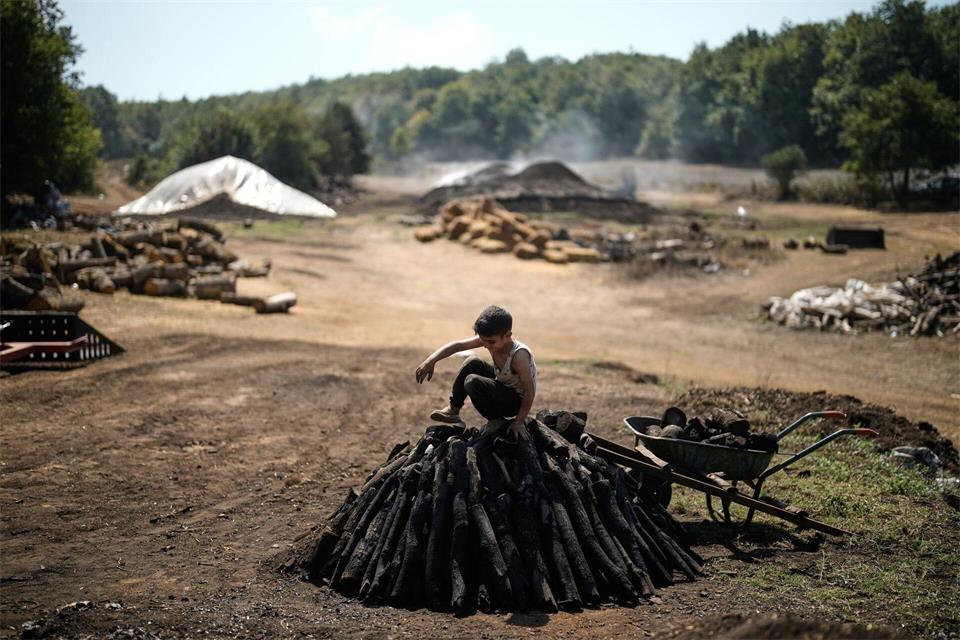 Yakoub Durak stapelt in einer Holzkohleproduktionsstätte in einem Wald in der Provinz Kocaeli Holz zu einem Haufen auf.Khalil Hamra/AP/dpa