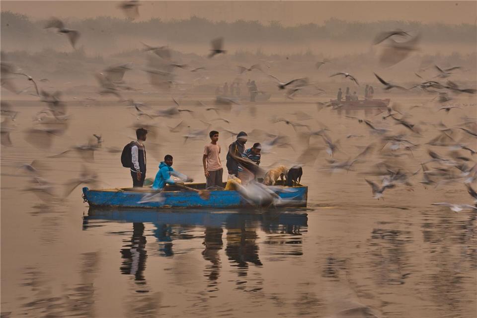 Yamuna-Ufer bei Delhi: Menschen locken Zugvögel mit Futter ans Boot.Rajesh Kumar Singh/AP/dpa