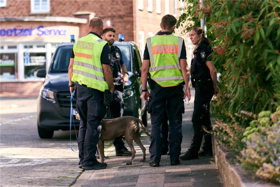 Zahlreiche Einsatzkräfte und auch Hunde waren an der Suche beteiligt.Marcus Golejewski/dpa
