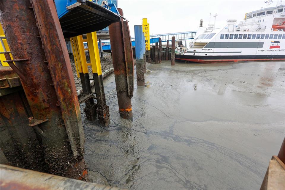 Zahlreiche Fährverbindungen fallen Freitag wegen des angekündigten Niedrigwassers aus. (Archivbild)Bodo Marks/dpa
