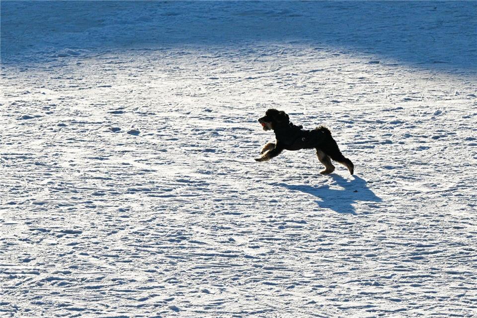 Zahlreiche Gewässer in Berlin waren tagelang zugefroren. (Archivbild)Jens Kalaene/dpa