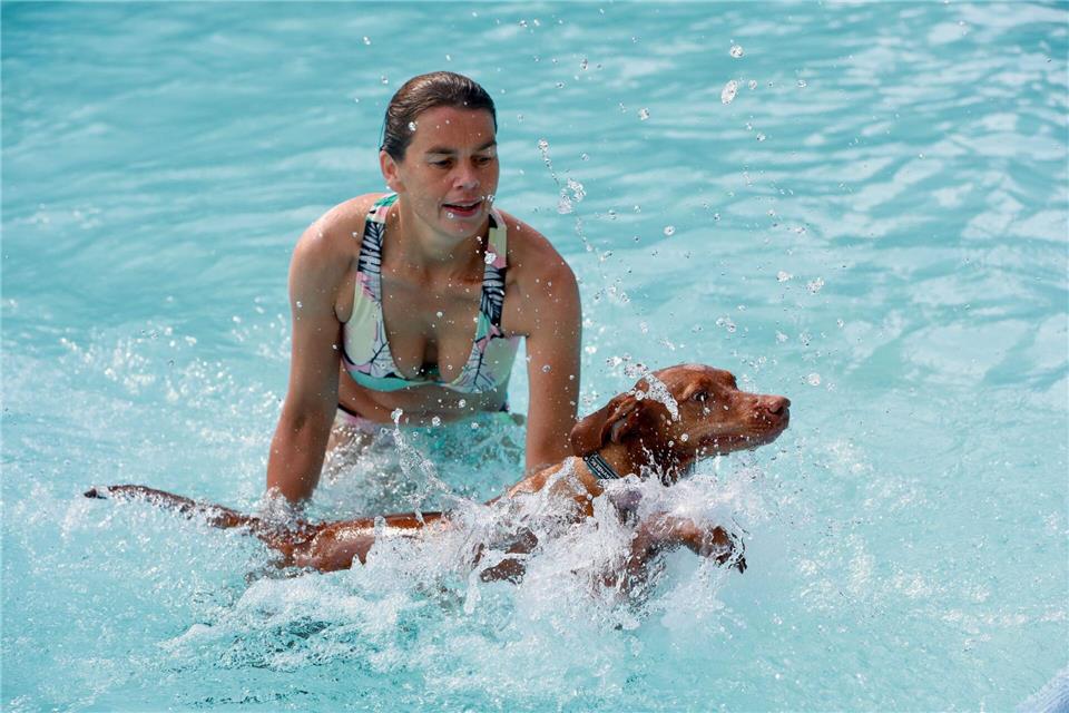 Hunde planschen zum Saisonabschluss im Ilsestrandbad Zahlreiche Herrchen und Frauchen nutzten den letzten Badetag mit ihren Vierbeinern.Matthias Bein/dpa