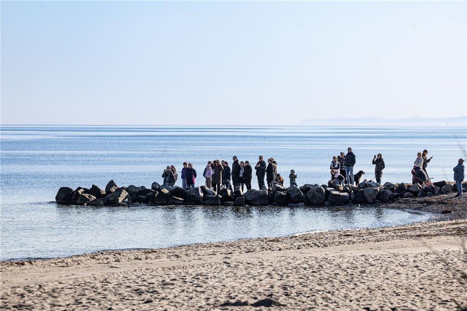 Zahlreiche Schaulustige stehen an der Mole und beobachten den Wal. Ulrich Perrey/dpa