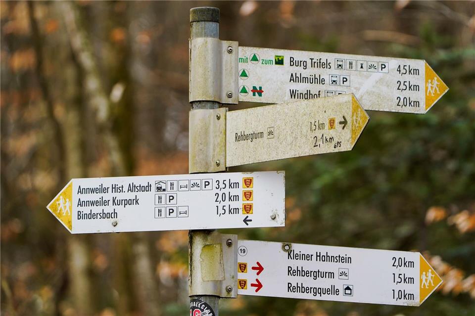 Zahlreiche Wanderwege führen im Pfälzerwald durch schattige Täler und vorbei an Burgruinen. (Archivbild)Uwe Anspach/dpa
