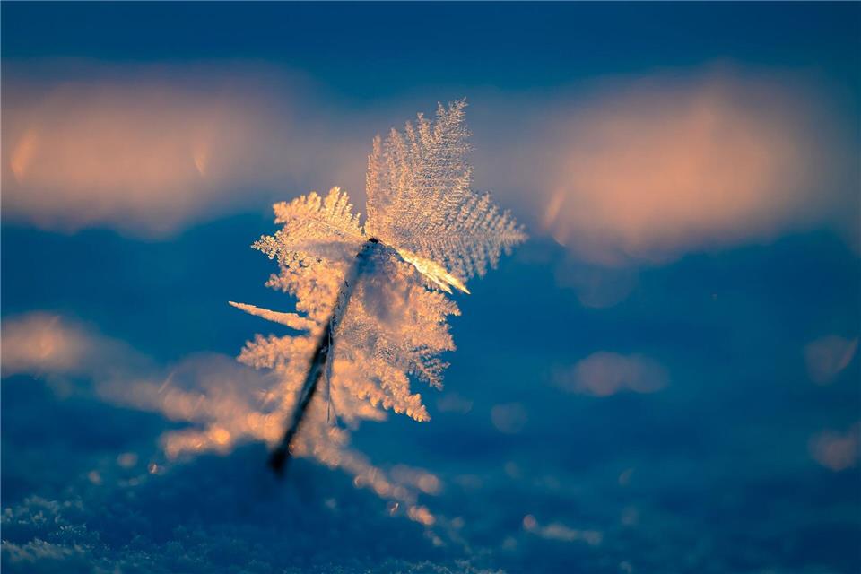 Zauberhafter Wintermorgen bei Eiseskälte.Patrick Pleul/dpa