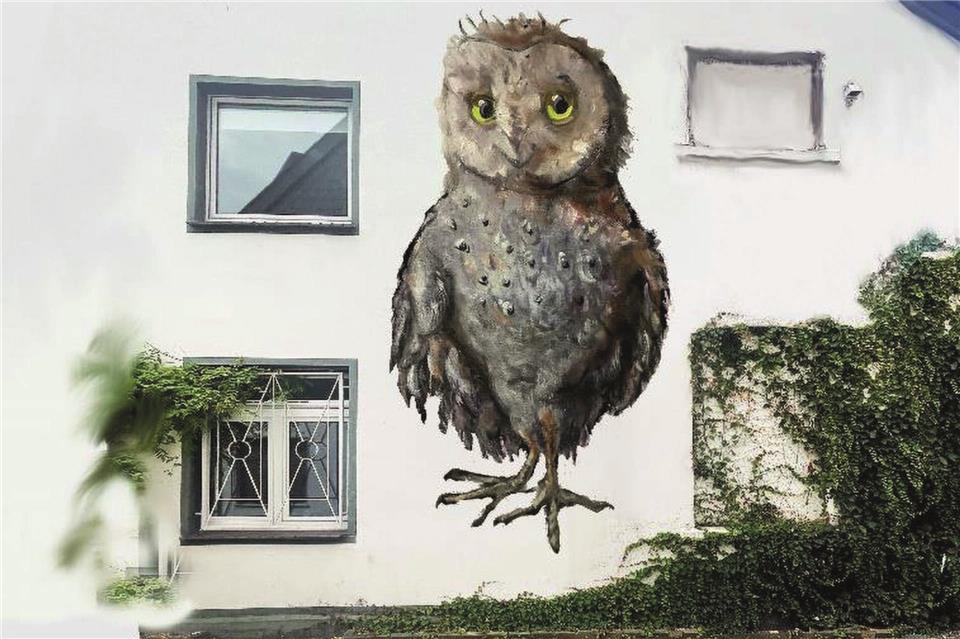 Zehn Fassaden in der Innenstadt sollen Tiermotive zeigen: Hier in der Sternstraße 13.