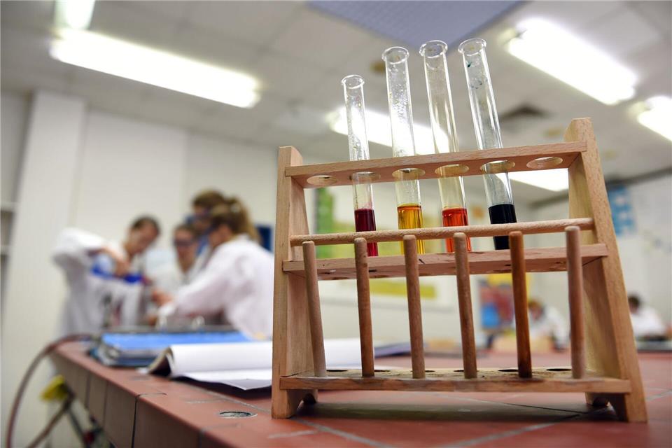 Zehn Lehrerinnen und Lehrer bekommen den Preis. (Archivbild)Felix Kästle/dpa