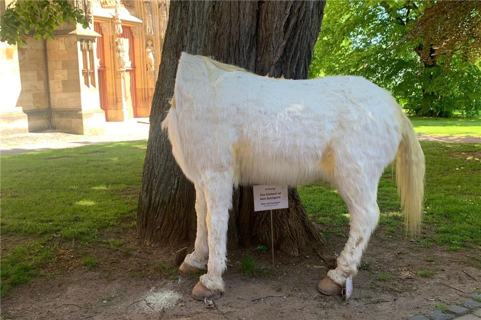 Zeugen gesucht - wer hat sich an dem Einhorn zu schaffen gemacht?--/Wolfgang-Bonhage Museum Korbach/dpa