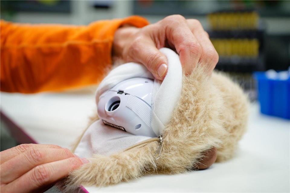 Zieht man den „Booboos“ das Fell ab, wird das technische Innenleben sichtbar.Uwe Anspach/dpa