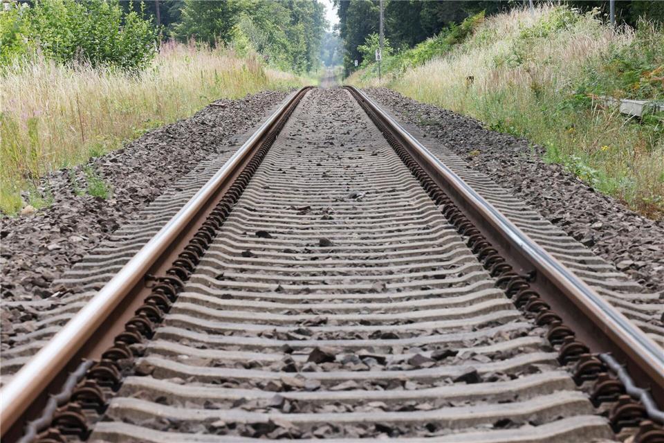 „Ziel ist es, Eingriffe durch das Infrastrukturprojekt auszugleichen“, teilte die Bahn mit. (Symbolbild)Oliver Berg/dpa