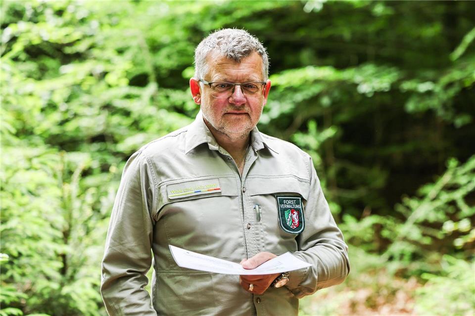 Ziel ist es, den im Wald gespeicherten Kohlenstoffvorrat und seine Veränderung zu erfassen.Oliver Berg/dpa
