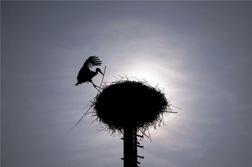 Zu Beginn der Pfingstferien sollen die Temperaturen deutlich steigen. (Archivbild) Pia Bayer/dpa