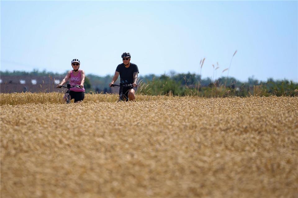 Zu Beginn der neuen Woche bleibt es in Nordrhein-Westfalen sommerlich. (Symbolbild)Christoph Reichwein/dpa
