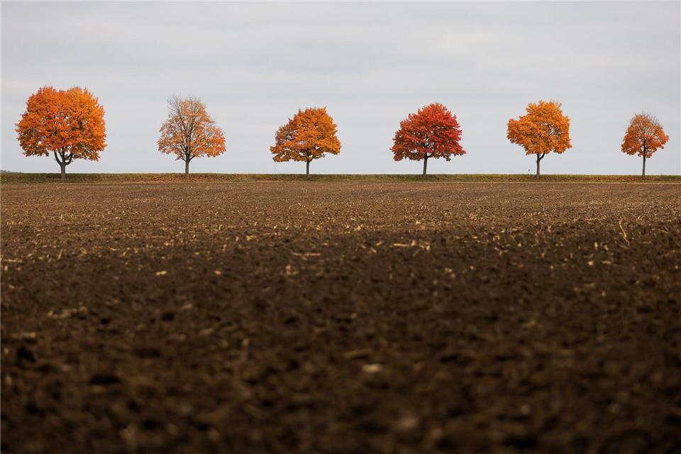 Zu Wochenbeginn bleibt es in Baden-Württemberg oft grau - zumindest am Himmel.Thomas Warnack/dpa