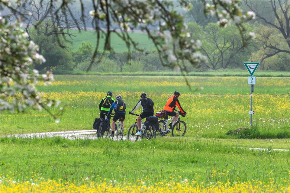 Zu beginnenden Radsaison warnt das Landeskriminalamt Niedersachsen vor Fahrraddiebstahl. (Symbolbild)Thomas Warnack/dpa