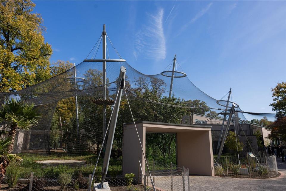 Zu dem neuen Affenhaus im Krefelder Zoo gehört auch ein neuer Außenbereich. (Archivbild)Rolf Vennenbernd/dpa