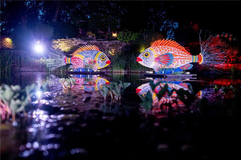 Zu der Illumination im Park der Gärten werden wieder Tausende Besucher erwartet. Hauke-Christian Dittrich/dpa