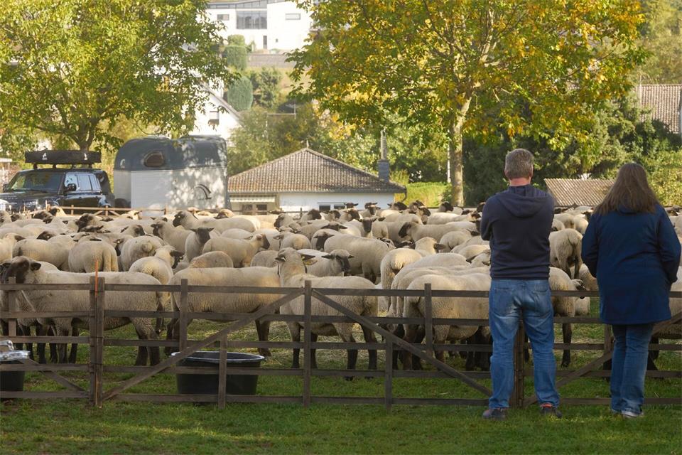 Zu der Veranstaltung kamen viele ZuschauerThomas Frey/dpa