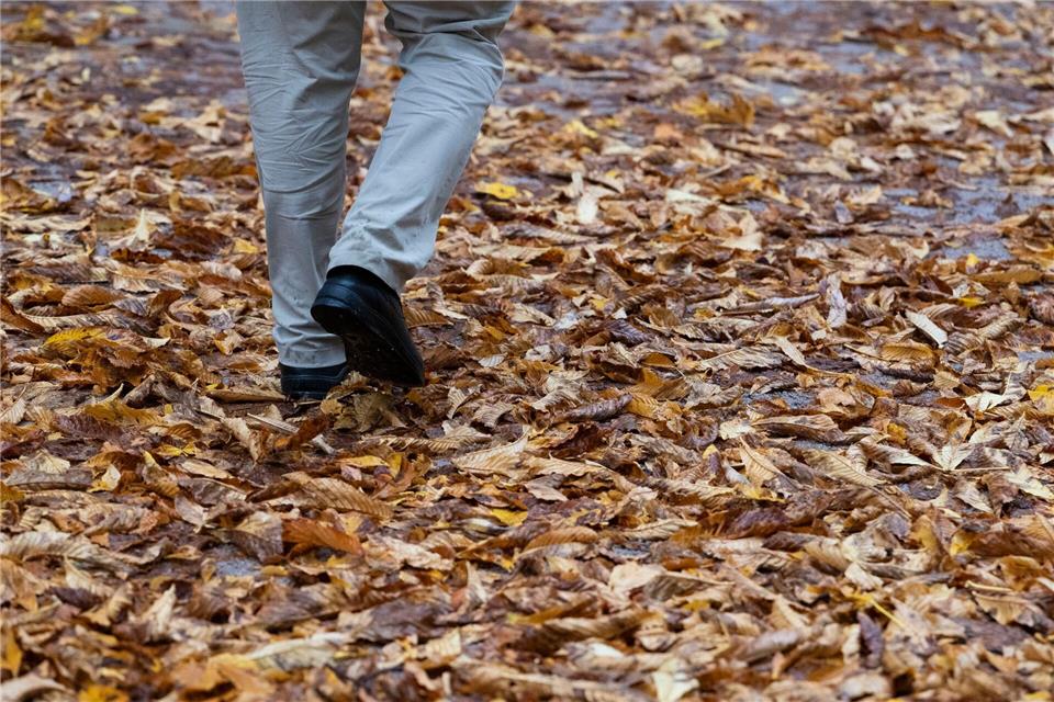 Von wegen golden - Oktober im Südwesten zu trüb und zu nass  Zu nass und zu trüb war der Oktober im Südwesten, so die Bilanz des Deutschen Wetterdienstes. (Archivbild)Marijan Murat/dpa