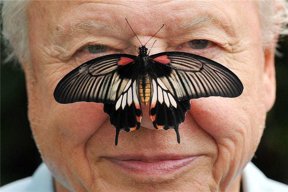 Zu seinem 100. Geburtstag erhielt David Attenborough einen persönlichen Brief von König Charles. (Archivfoto)John Stillwell/PA Wire/dpa