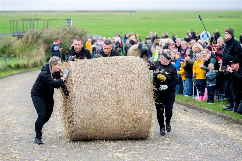 Zu viert wird der rund 200 Kilogramm schwere Strohballen gerollt. Hauke-Christian Dittrich/dpa