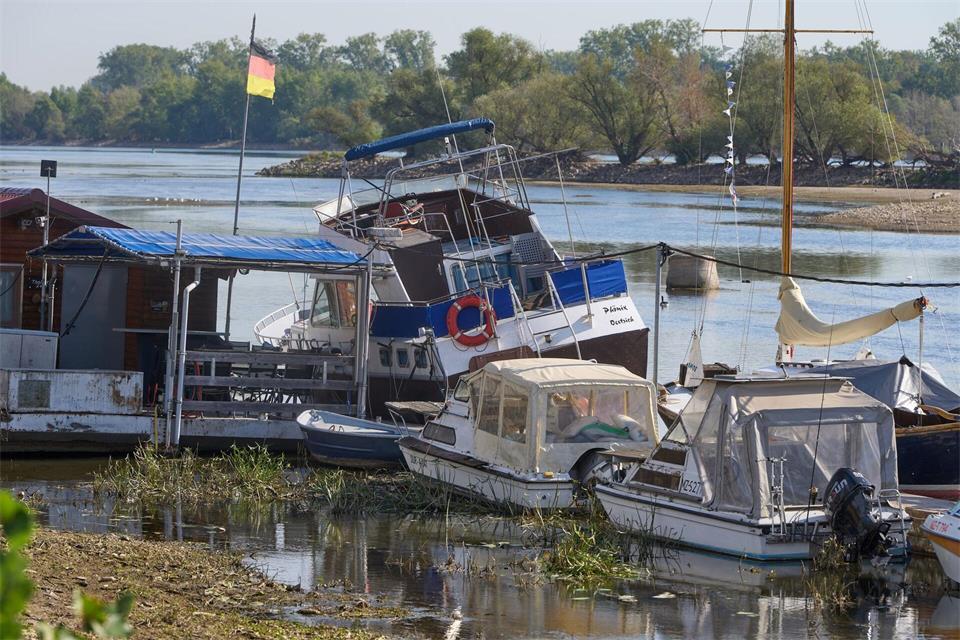 Zu wenig Wasser: Bei Oestrich-Winkel im hessischen Rheingau liegen Sportboote auf dem Grund des Rheins. Thomas Frey/dpa