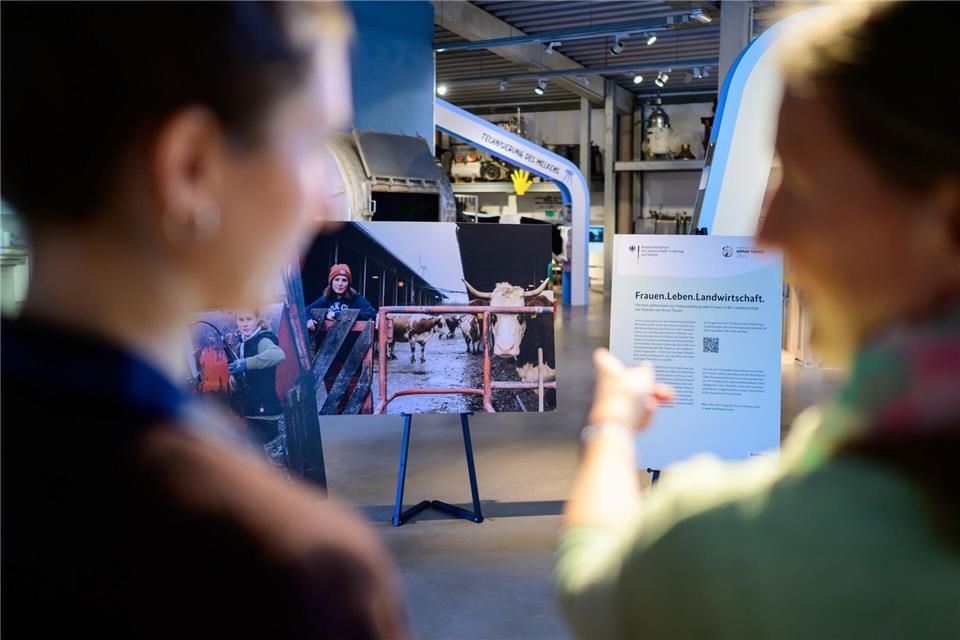 Zu wenige Frauen leiten landwirtschaftliche Höfe. Philipp Schulze/dpa