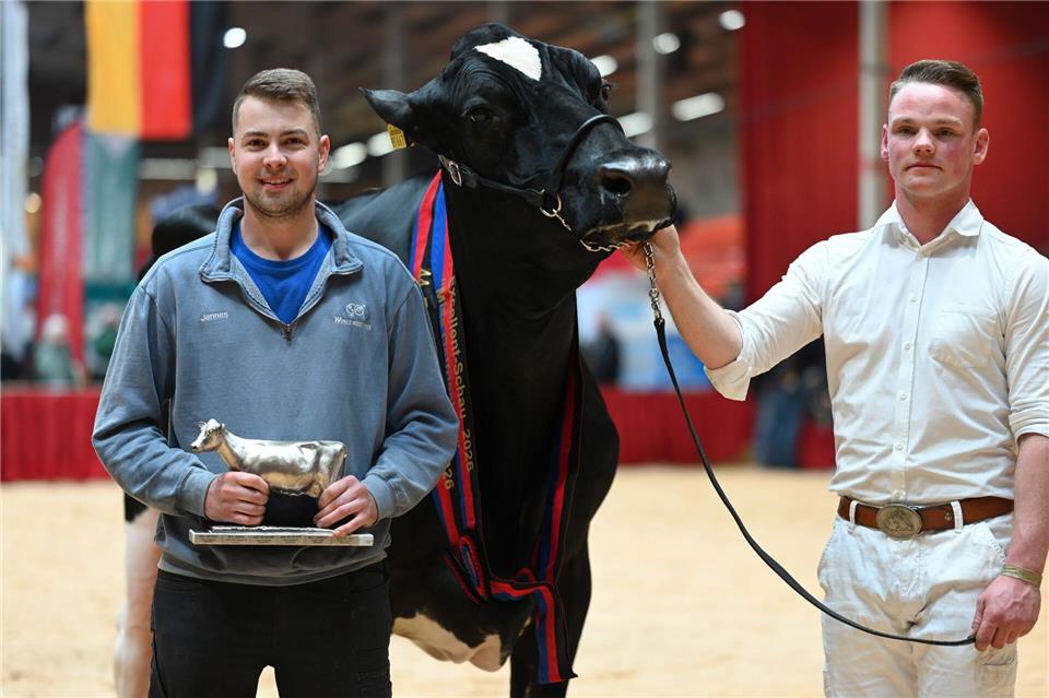 Züchter Jannes Rohdemann (l.) hat nun mit Kuh Alge eine Miss Ostfriesland im Stall stehen. Lars Penning/dpa