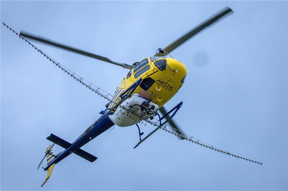 Zuletzt wurden die Raupen in der Region 2023 aus der Luft bekämpft. (Archivbild)Jens Büttner/dpa