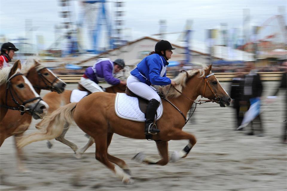 Zum 200-jährigen Bestehen des Oktoberfests im Jahr 2010 wurde das historische Pferderennen wiederholt. (Archivbild)picture alliance / dpa