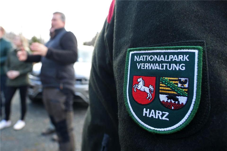 Zum April hat die Waldbrandsaison im Oberharz begonnen.Matthias Bein/dpa