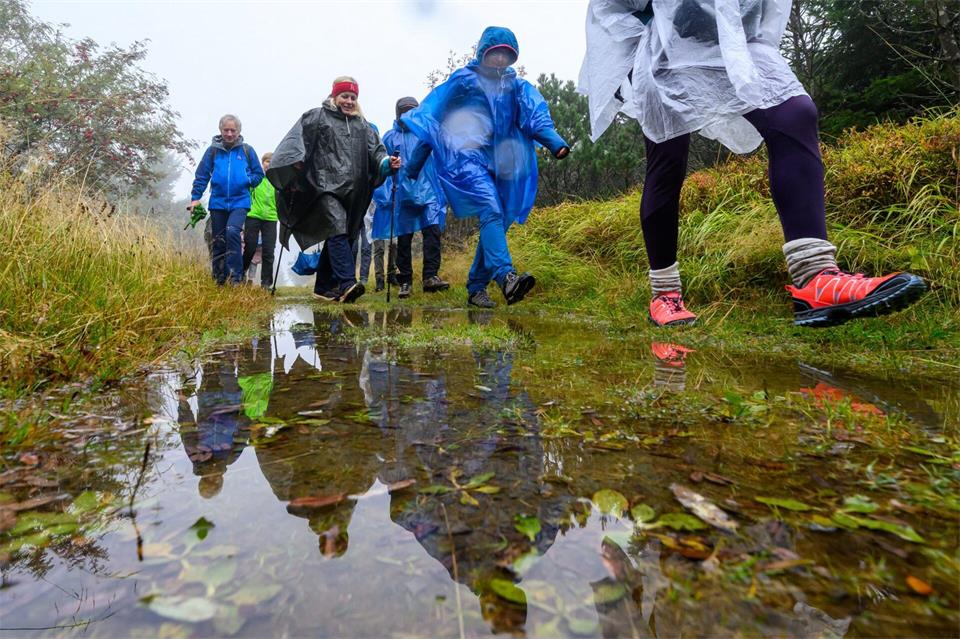 Zum Auftakt des 123. Deutschen Wandertages trotzen Wanderer dem Regenwetter auf einer Tour am Fichtelberg. Hendrik Schmidt/dpa