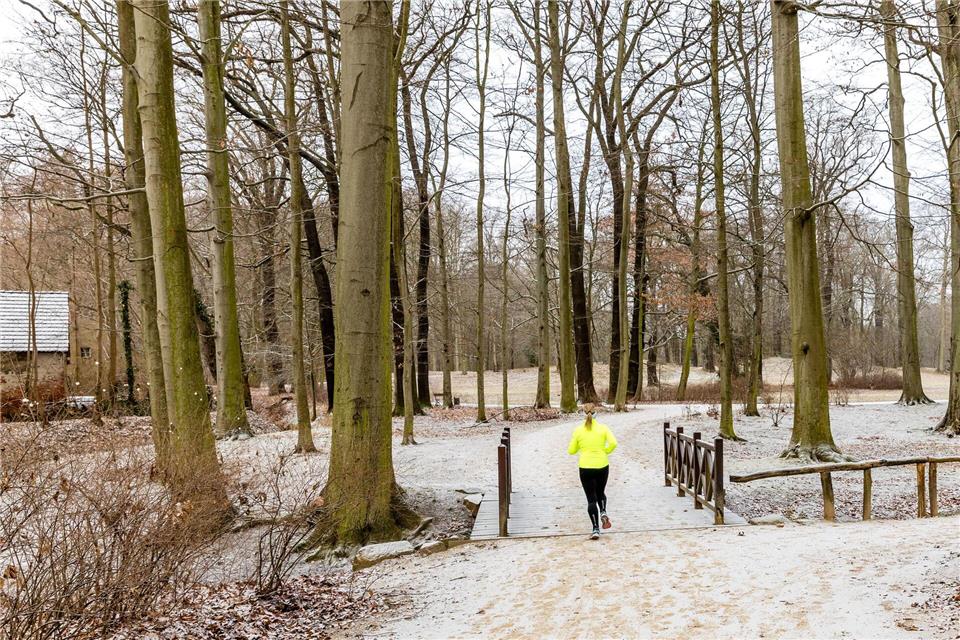 Zum Jahreswechsel könnte es in Berlin und Brandenburg schneien. (Symbolbild)Frank Hammerschmidt/dpa