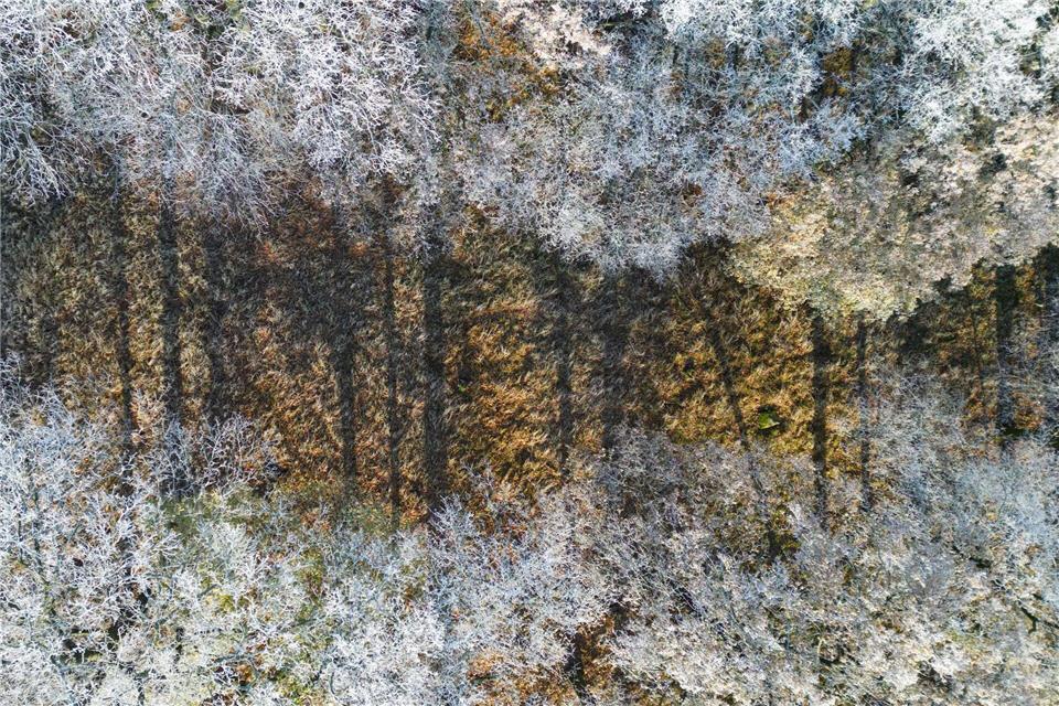 Zum Jahreswechsel wird es frostig und auch Schnee ist möglich. (Symbolbild)Patrick Pleul/dpa