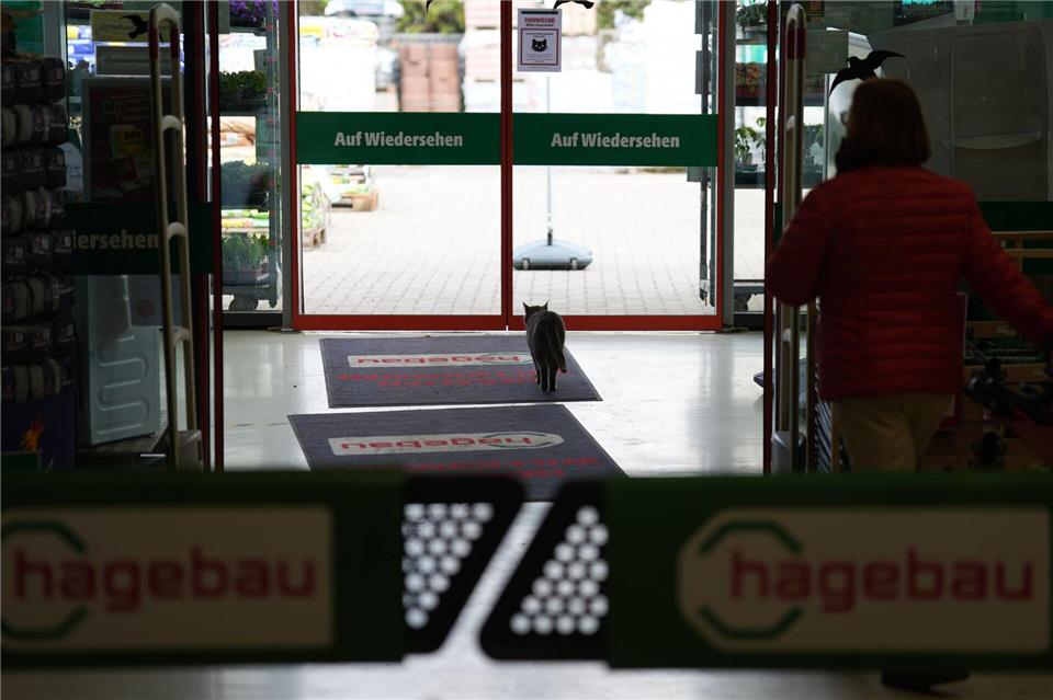 Zum Schlafen verlässt Lotti den Markt.Marcus Brandt/dpa