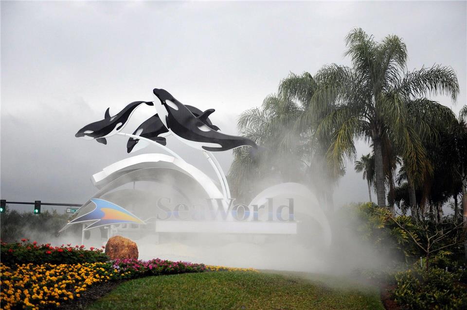 Dertour: Keine Ausflüge mehr zu Seaworld und Loro Parque  Zum Schutz von Meeressäugern: Dertour nimmt Ausflüge wie ins Seaworld in Florida aus seinem Programm.Preston Mack/EPA/dpa-tmn