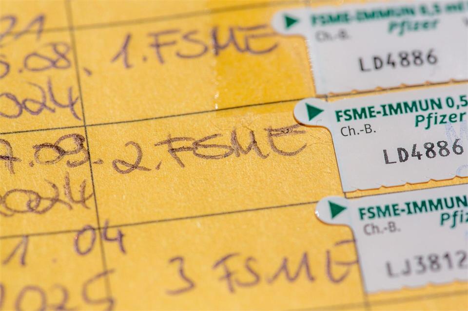 Zum Schutz vor FSME raten Mediziner dazu, sich impfen zu lassen. (Symbolbild)Fernando Gutierrez-Juarez/dpa