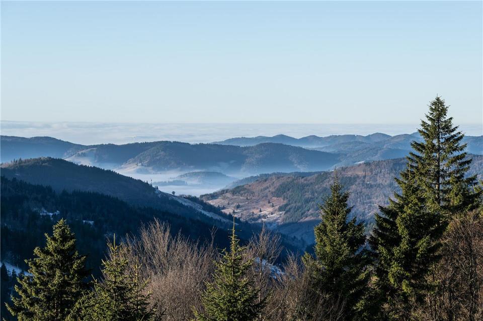 Zum Start in das letzte Wochenende des Jahres kommt etwas mildere Luft nach Deutschland Silas Stein/dpa