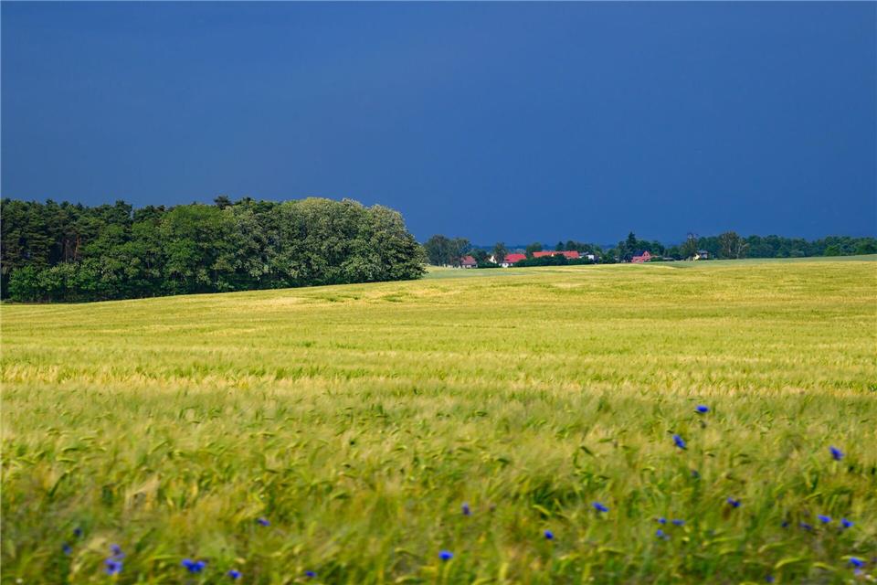 Zum Start ins Wochenende ist das Wetter in der Hauptstadtregion wechselhaft. (Archivbild)Patrick Pleul/dpa