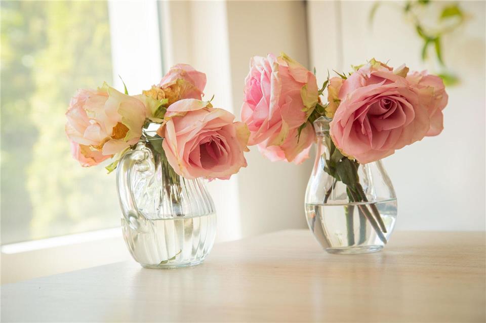 Zum Vergleich: Die Blumen mit Zucker-Essig-Mix (l.) welken genauso schnell wie im normalen Leitungswasser (r.).Christin Klose/dpa-tmn